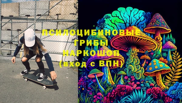 дурь Горнозаводск