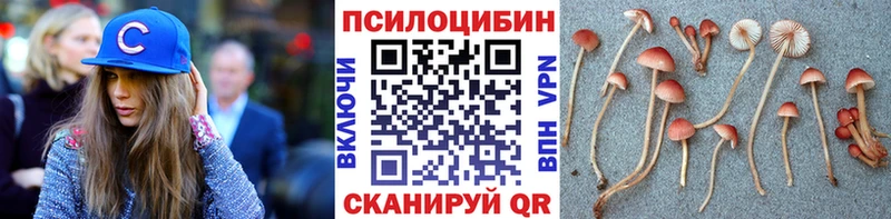 Галлюциногенные грибы мицелий  Малая Вишера 